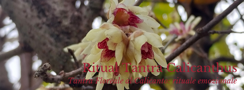 tantra ritualearoma massaggio